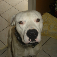 Photo de profil de Ulrich