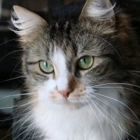 Photo de profil de Calie