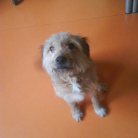 Photo de profil de Luna