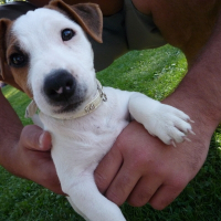 Photo de profil de Erton