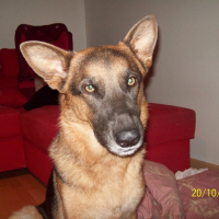 Photo de profil de Dell