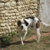 Photo de Pirate