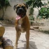 Photo de Lola
