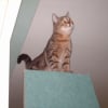 Photo de Pepette