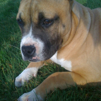 Photo de profil de Daika
