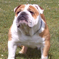 Photo de profil de T.o