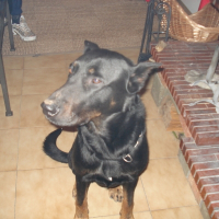 Photo de profil de Sultant