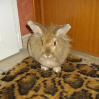 Photo de profil de Canelle