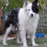 Photo de profil de Lady