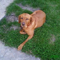 Photo de profil de Gao du foin