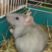 Photo de profil de Titus