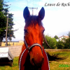 Photo de Louve de rochebaron
