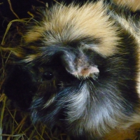 Photo de profil de Rudy