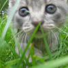 Photo de Engie
