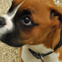 Photo de profil de Edène
