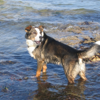 Photo de profil de Pataud