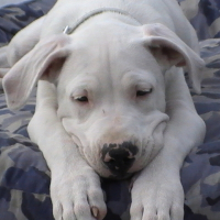 Photo de profil de Elsy