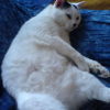 Photo de Moumoune