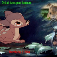 Photo de profil de Bambino et nitta