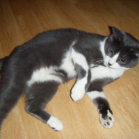 Photo de profil de Bétise