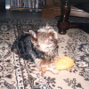 Photo de Junior