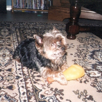 Photo de profil de Junior