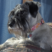 Photo de profil de Kaly (la houssaie rita)