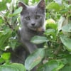 Photo de Doushka