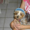 Photo de Brenda