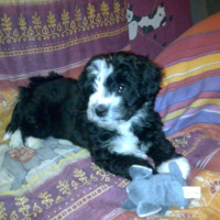 Photo de profil de Kana