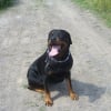 Photo de Nalla