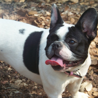 Photo de profil de Daisy
