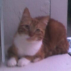 Photo de Canelle