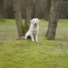 Photo de Diouk