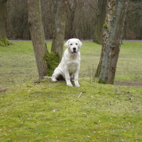 Photo de profil de Diouk