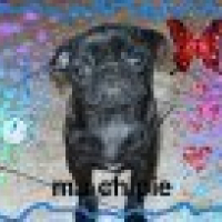 Photo de profil de Ma chipie