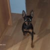 Photo de Small