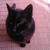 Photo de Mimine
