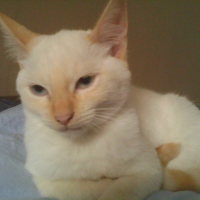 Photo de profil de Eliot