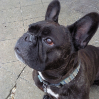 Photo de profil de Ulk