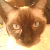 Photo de profil de Winny