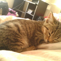 Photo de profil de Elphie (soeur d'eliot)