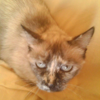 Photo de profil de Sophie 