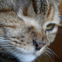 Photo de profil de Kenny