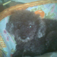 Photo de profil de Bandy