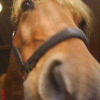 Photo de profil de Patty