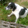 Photo de Minie
