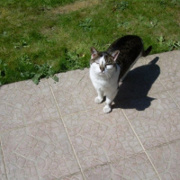 Photo de profil de Belle