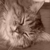 Photo de Cléo