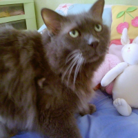 Photo de profil de Léo